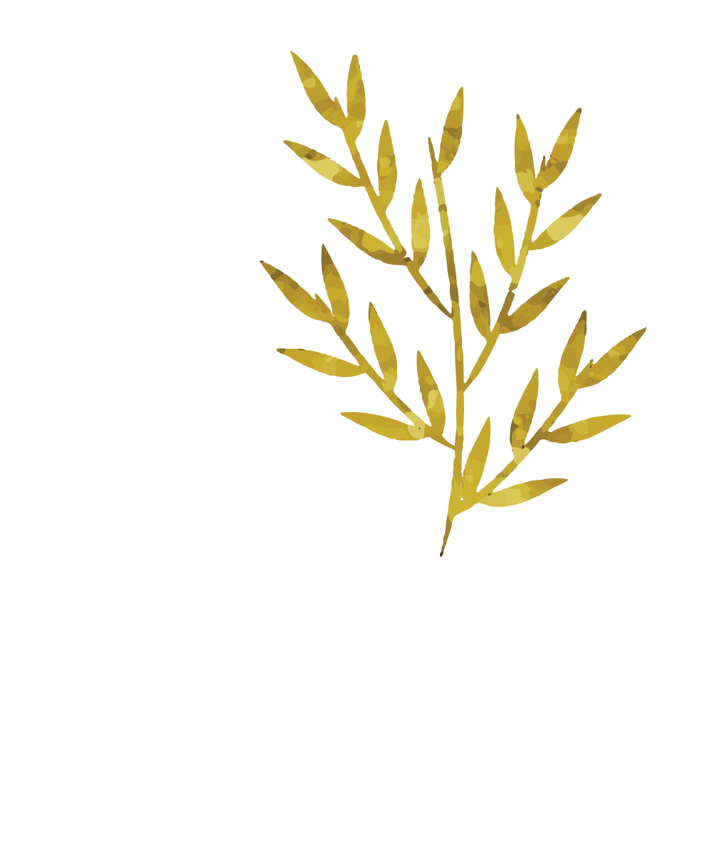 The Townes at SouthPark Logo